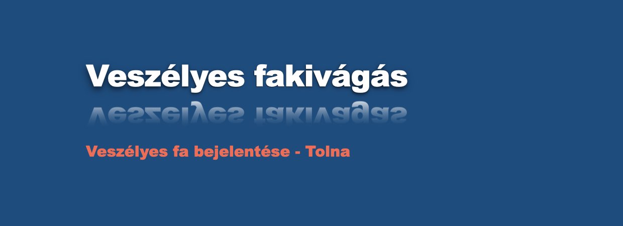 Veszélyes fakivágás, fa (fák) kivágása Veszélyes fakivágás, fa (fák) kivágása
